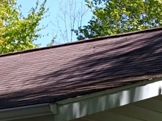 ZL Lawncare