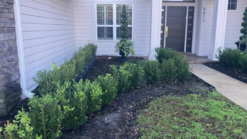 Custom yard cleanup service in Gainesville, FL - Z&L Lawnscaping