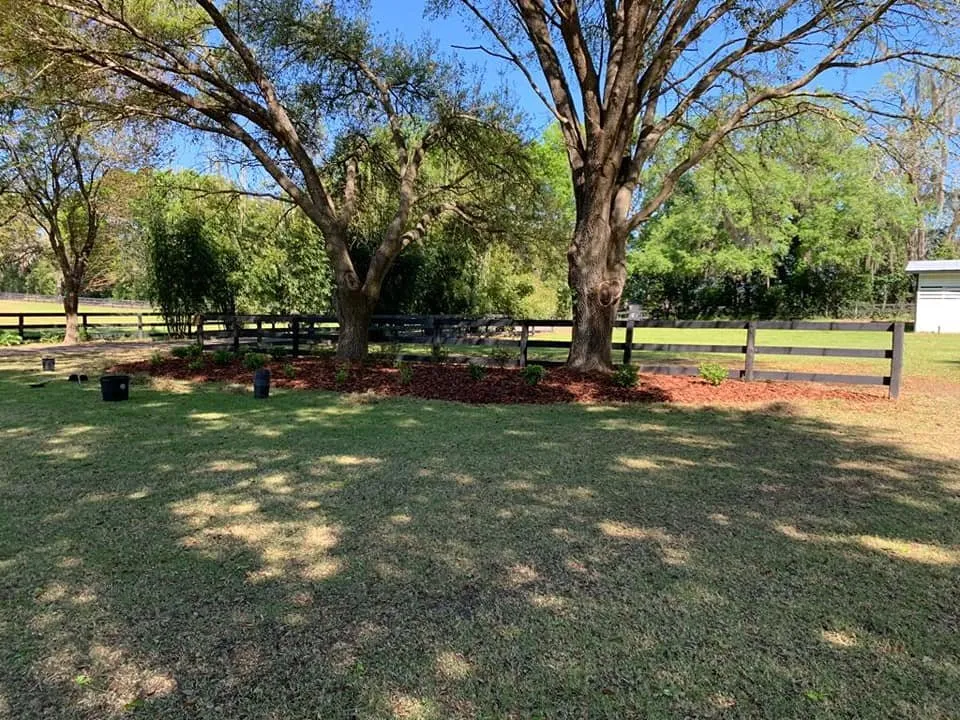 Top-rated landscape design in Gainesville, FL - Z&L Lawnscaping