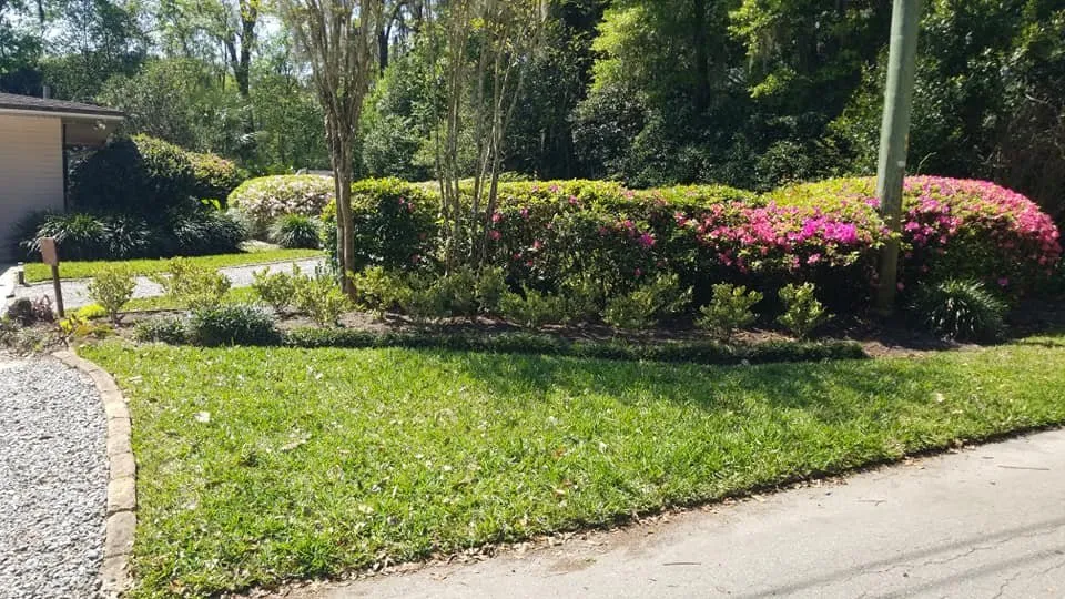 Local residential landscaping near you across Gainesville, FL - Z&L Lawnscaping
