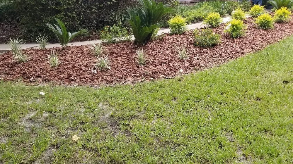 Affordable outdoor landscaping in Gainesville, FL - Z&L Lawnscaping