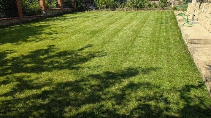 Trusted yard maintenance in Cincinnati, OH by ZLE Lawncare