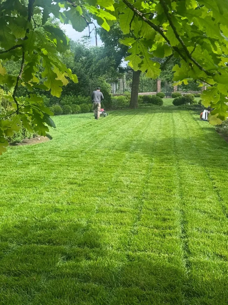 Top-rated lawn care service in La Vergne, TN - Z&M Landscaping