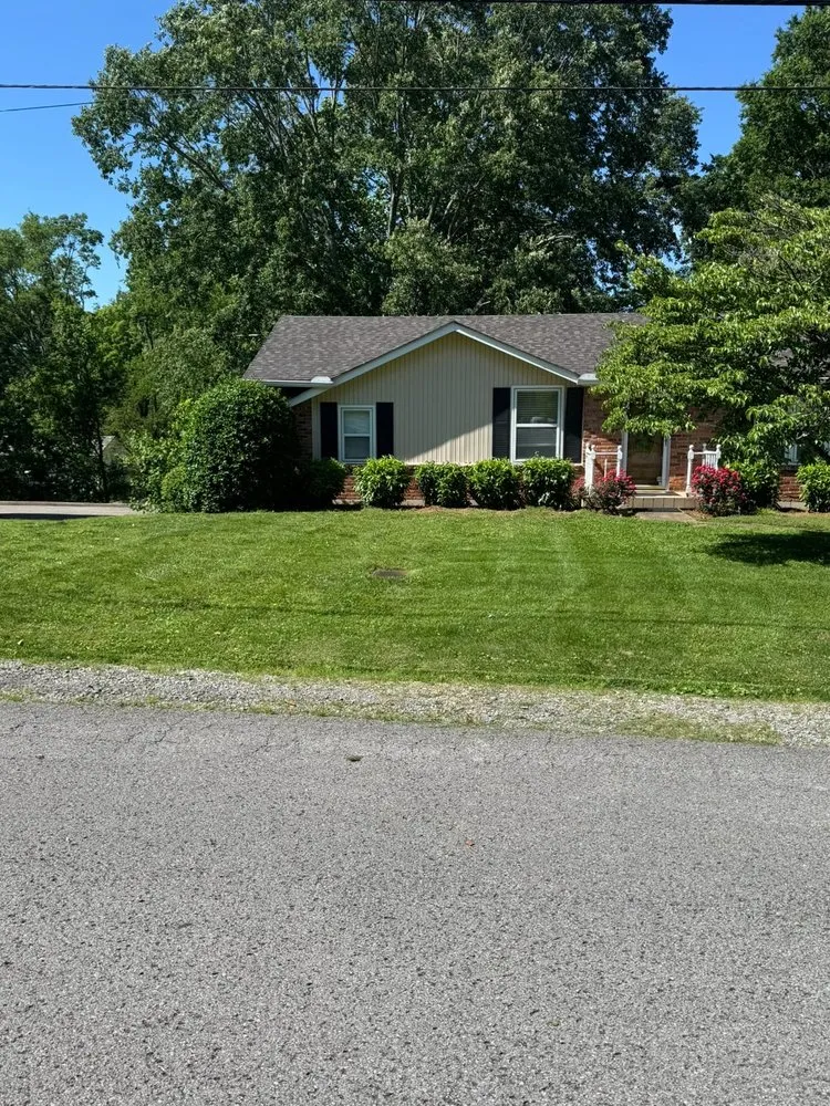 Local yard maintenance for year-round maintenance in La Vergne, TN by Z&M Landscaping