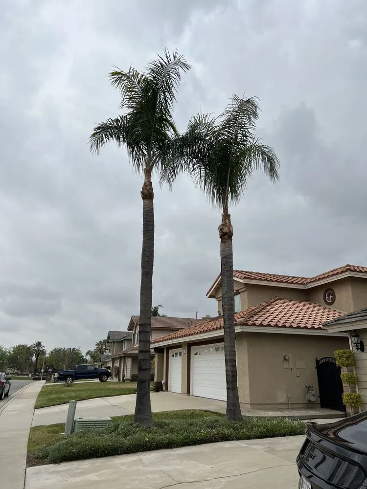 Local landscape design with custom design across Victorville, CA - Zm Lawn Care & Landscaping Service