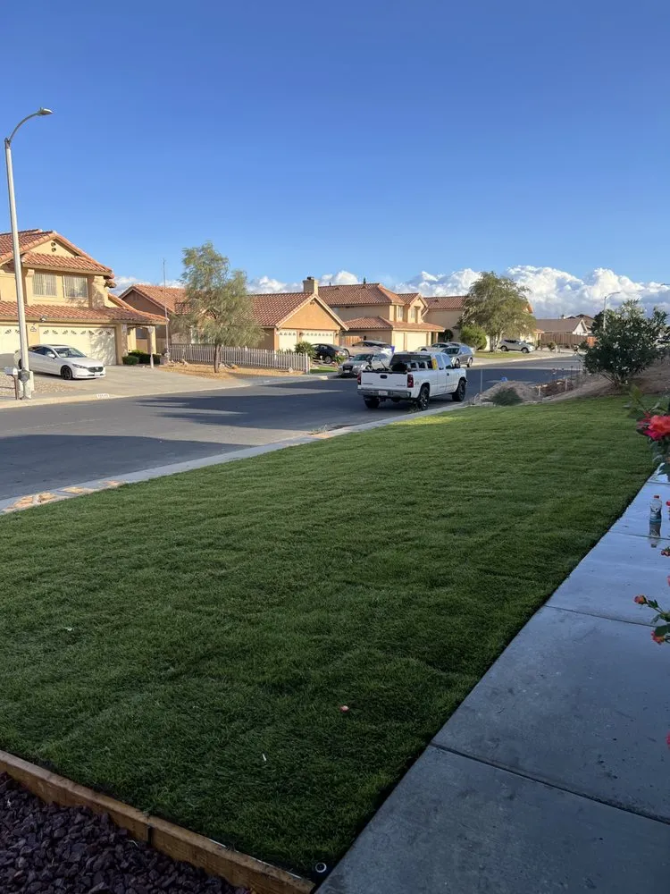 Reliable yard cleanup service experts serving Victorville, CA - Zm Lawn Care & Landscaping Service