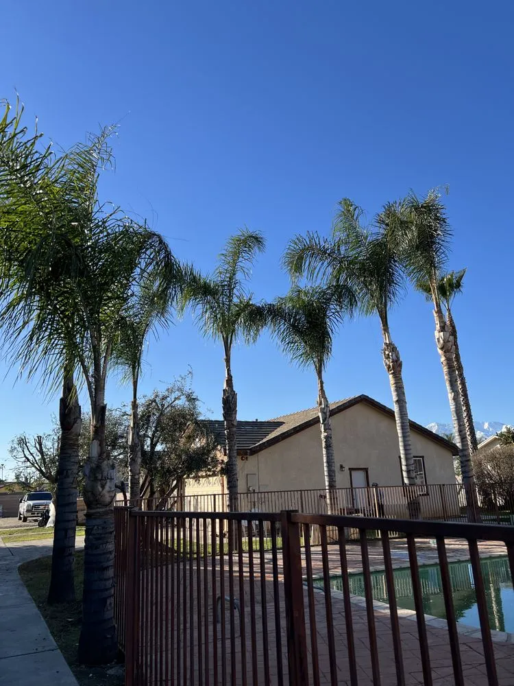 Expert outdoor landscaping in Victorville, CA - Zm Lawn Care & Landscaping Service