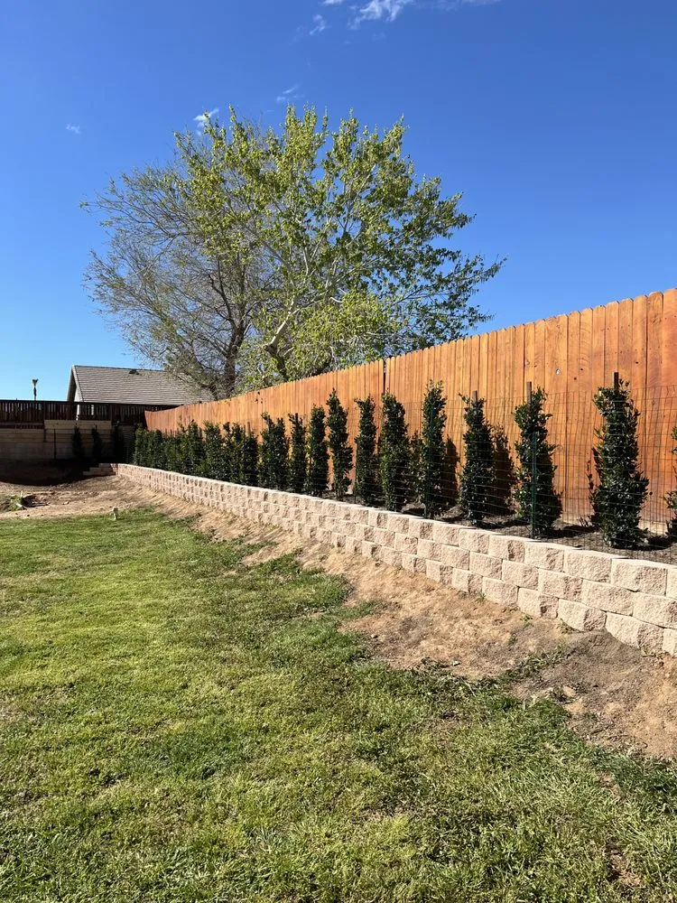 Trusted yard maintenance for outdoor upgrades across Victorville, CA - Zm Lawn Care & Landscaping Service