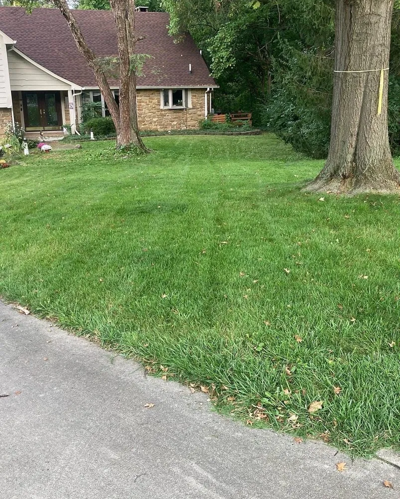 Trusted landscape installation for year-round maintenance in Greenwood, IN by Z&M Lawncare