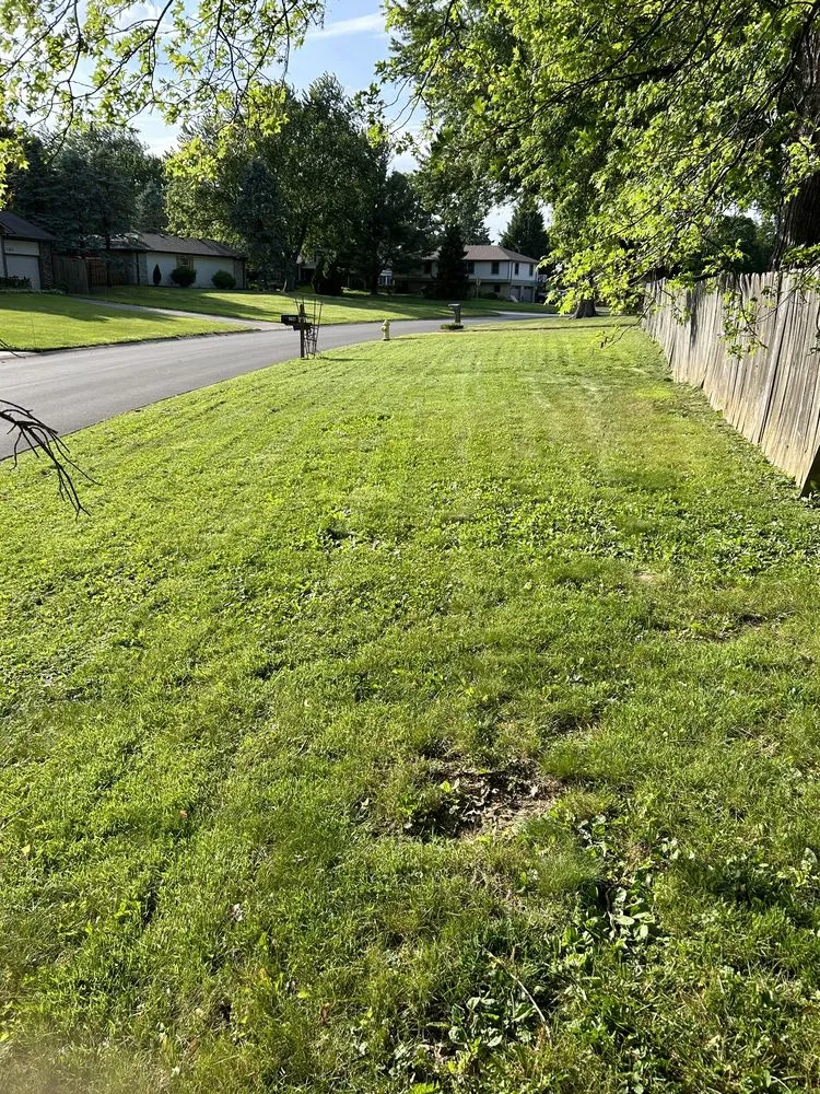 Trusted garden landscaping experts serving Greenwood, IN - Z&M Lawncare