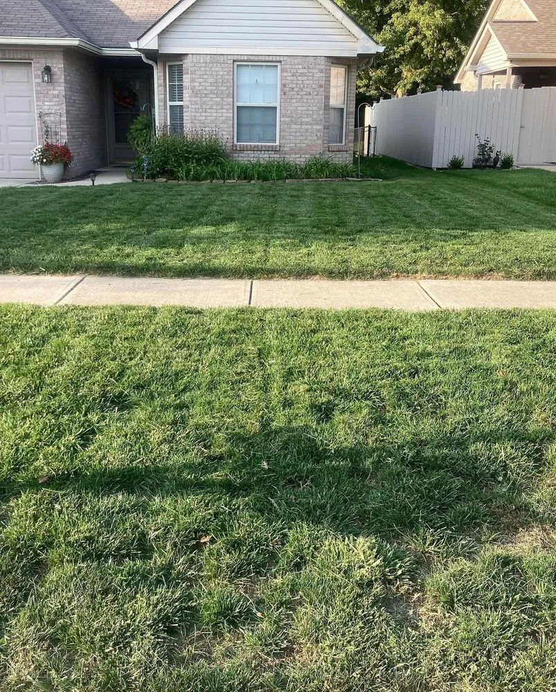 Local landscape design in Greenwood, IN - Z&M Lawncare