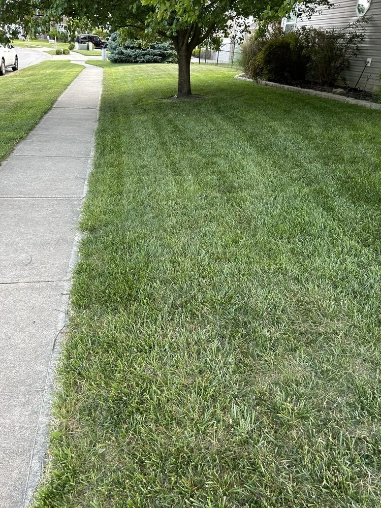 Local landscape installation in Greenwood, IN by Z&M Lawncare