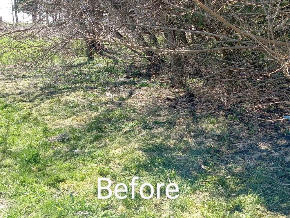 Expert yard cleanup service experts serving Hoopeston, IL - Z&M Pressure Washing And Mowing Services