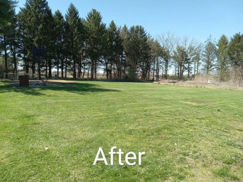 Trusted yard cleanup service in Hoopeston, IL - Z&M Pressure Washing And Mowing Services