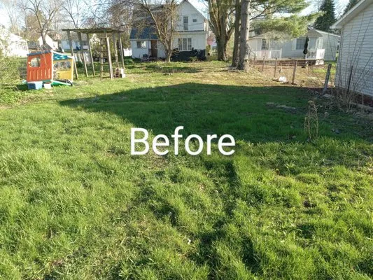 Z&M Pressure Washing And Mowing Services