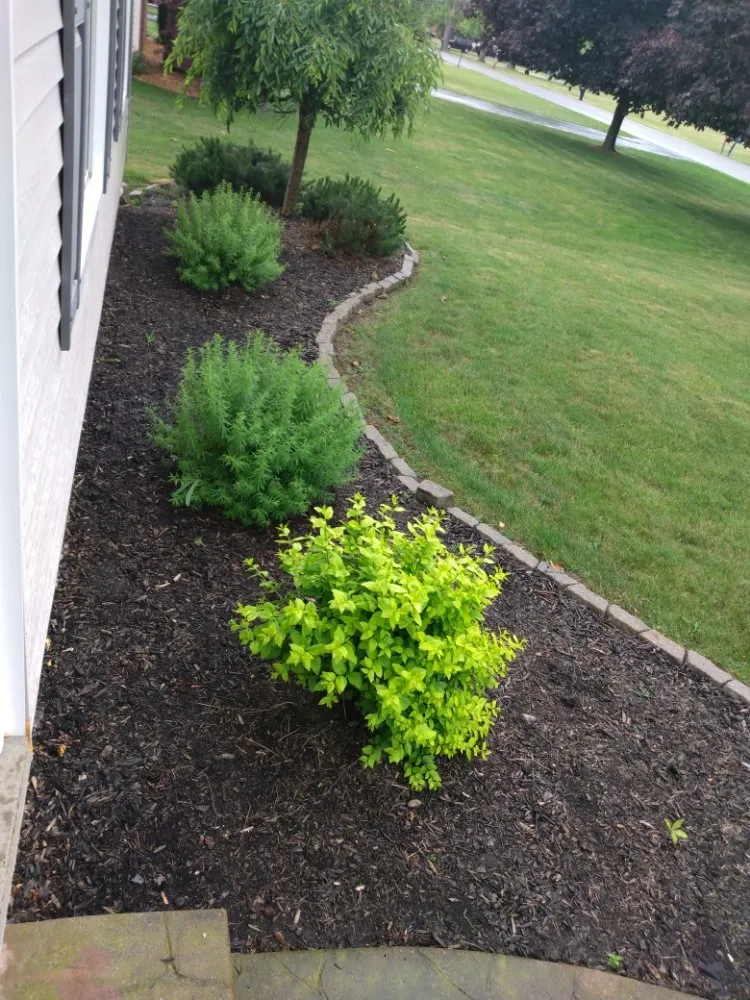 Custom landscaping services in Niagara Falls, NY by ZNC Lawn Service