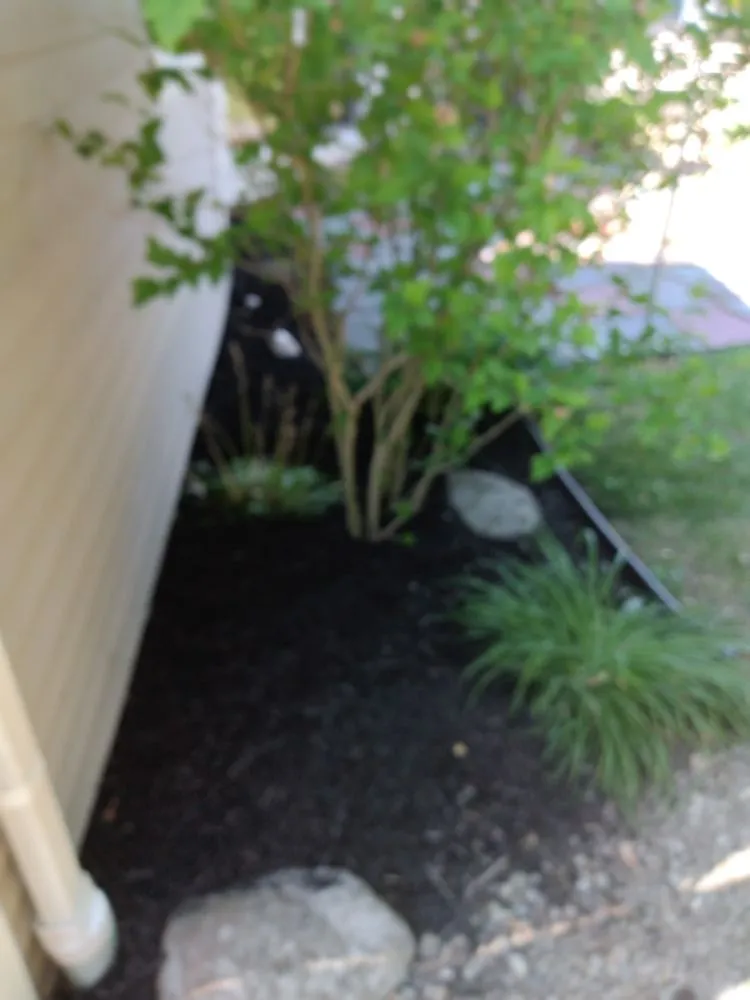 Professional lawn mowing service in Niagara Falls, NY - ZNC Lawn Service