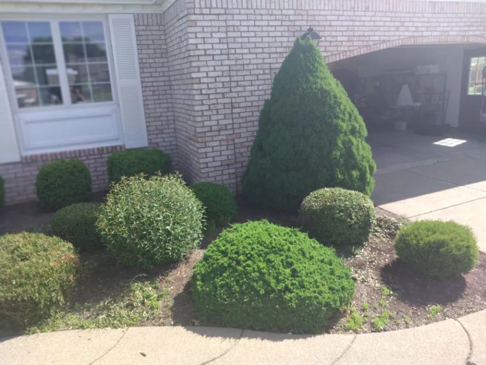 Local lawn care service in Niagara Falls, NY by ZNC Lawn Service