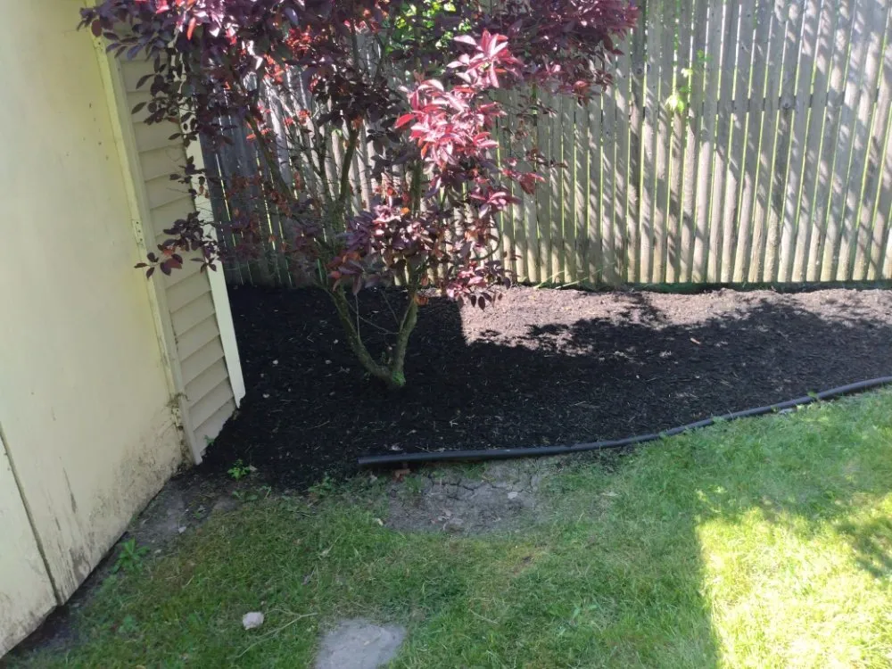 Reliable outdoor landscaping for homes in Niagara Falls, NY by ZNC Lawn Service