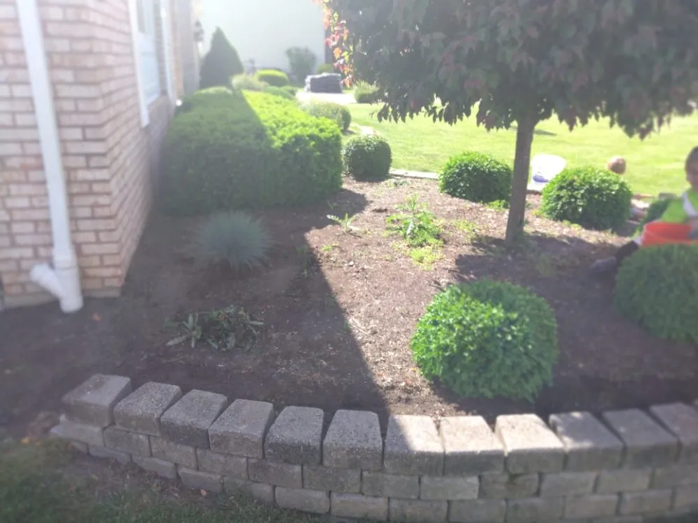 Local outdoor landscaping experts serving Niagara Falls, NY - ZNC Lawn Service