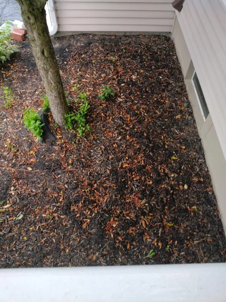 Affordable outdoor landscaping for beautiful yards across Niagara Falls, NY - ZNC Lawn Service