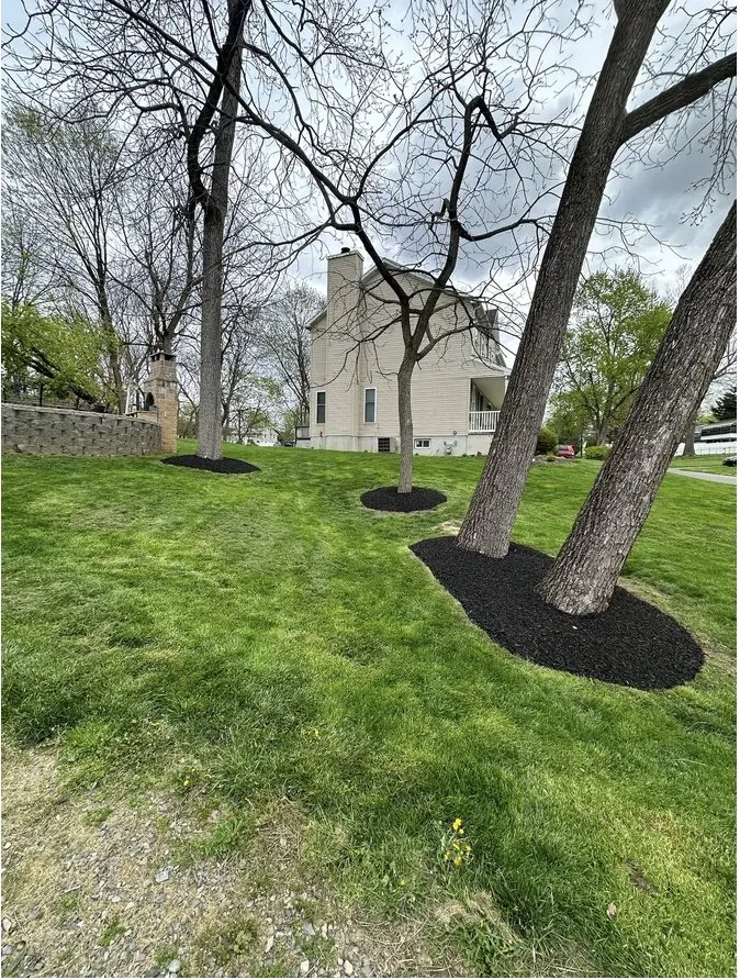 Expert outdoor landscaping in Stewartsville, NJ - ZNG Landscaping