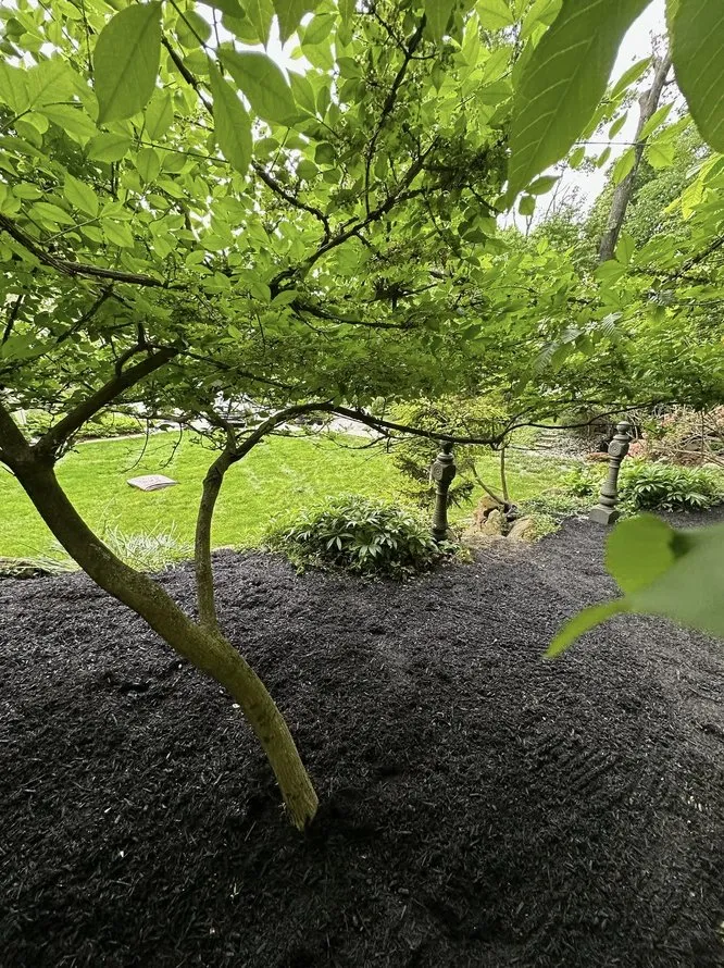 Local landscape design experts serving Stewartsville, NJ - ZNG Landscaping