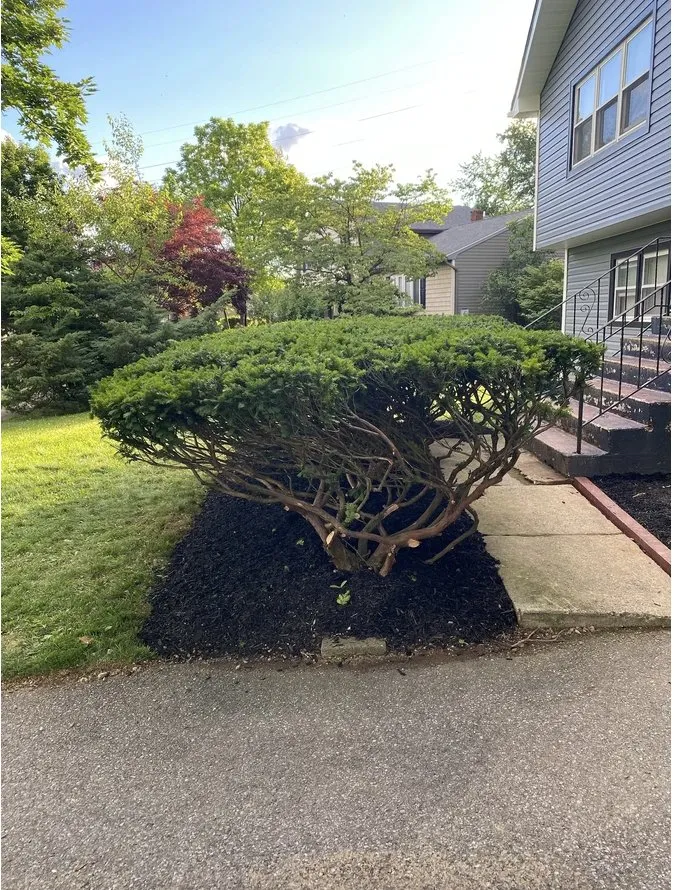 Professional lawn mowing service for homes across Stewartsville, NJ - ZNG Landscaping