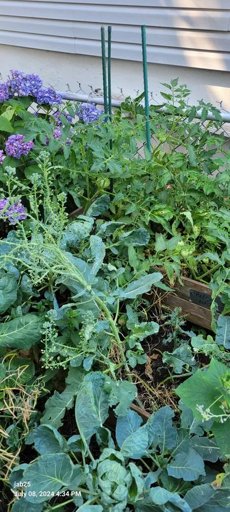 Trusted yard cleanup service for homes in Stewartsville, NJ by ZNG Landscaping