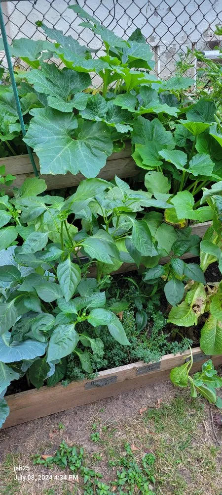 Expert landscape installation near you in Stewartsville, NJ by ZNG Landscaping