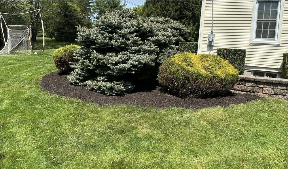 Custom landscaping services in Stewartsville, NJ by ZNG Landscaping