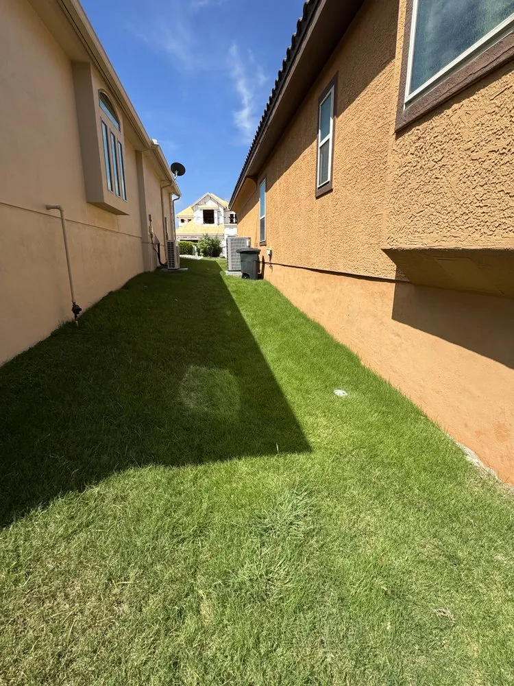 Trusted lawn care service in Boern, TX - ZnZ Services