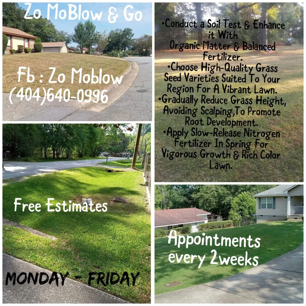 Professional landscape design in Columbus, GA by Zo Mow Blow & Go