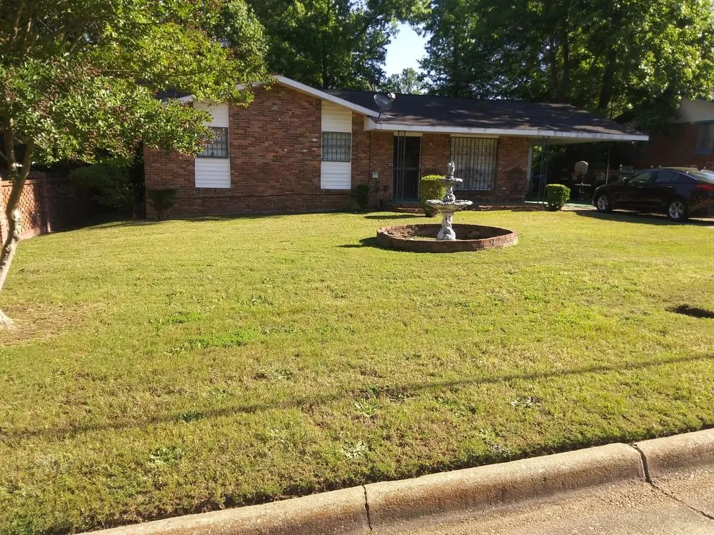 Top-rated yard cleanup service in Columbus, GA by Zo Mow Blow & Go