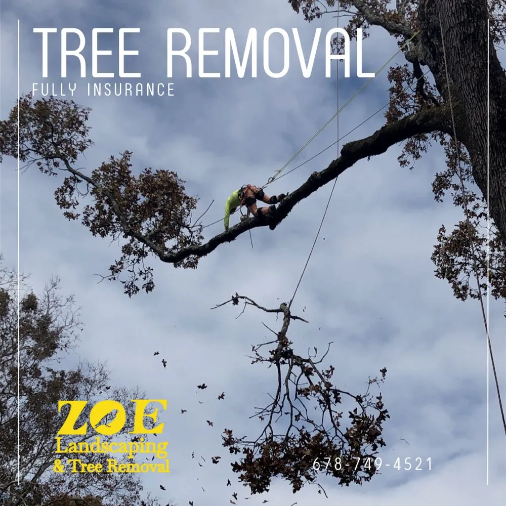 Expert yard cleanup service for outdoor upgrades in Woodstock, GA by Zoe Landscaping & Tree Services