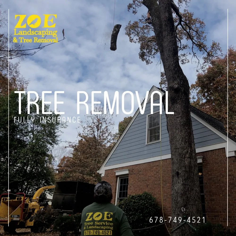 Reliable yard cleanup service in Woodstock, GA by Zoe Landscaping & Tree Services