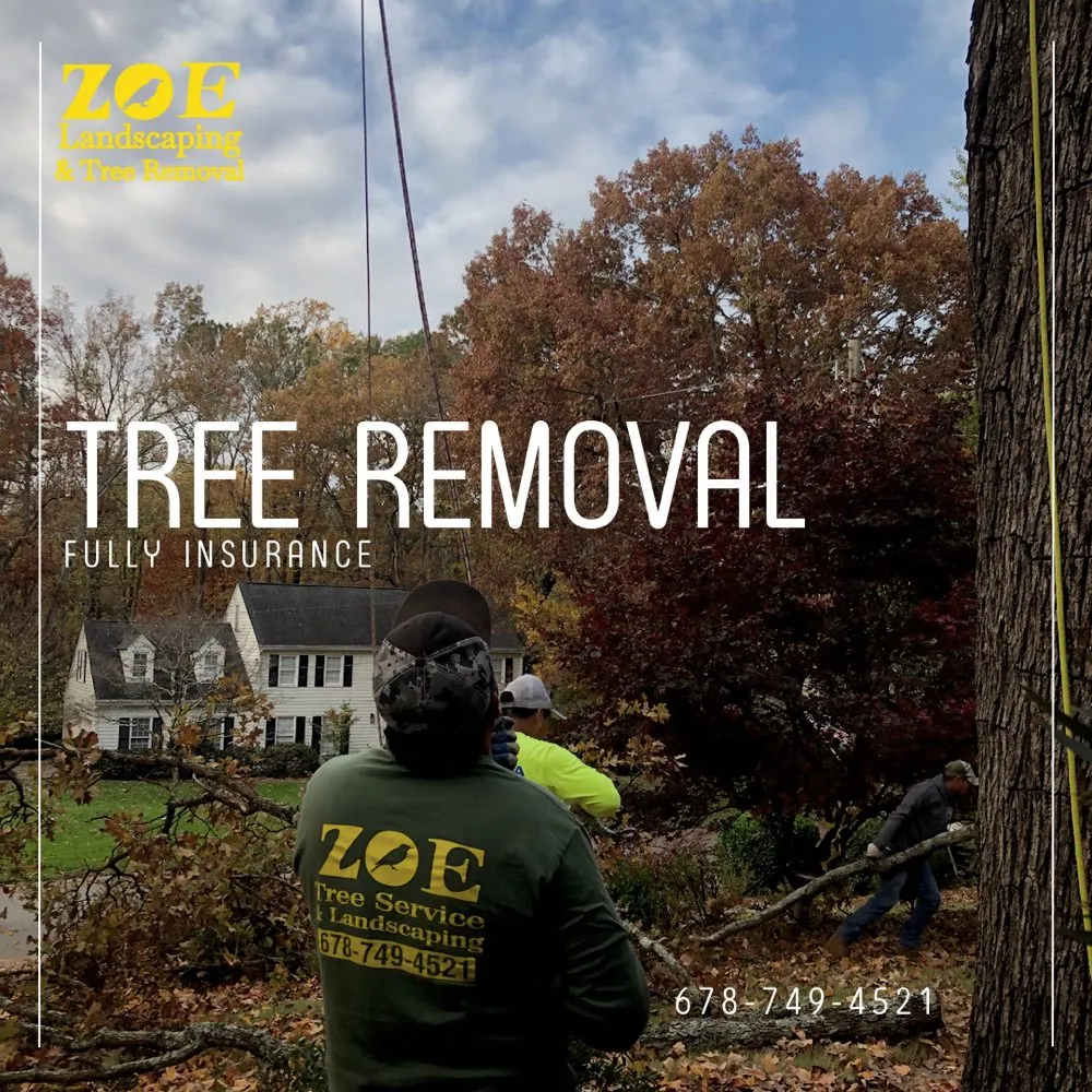 Local landscape design with custom design in Woodstock, GA by Zoe Landscaping & Tree Services