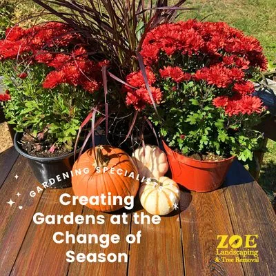 Zoe Landscaping & Tree Services Logo