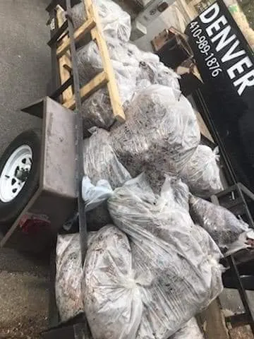 Local yard cleanup service in Highland Beach, MD by ZOE ON THE GO