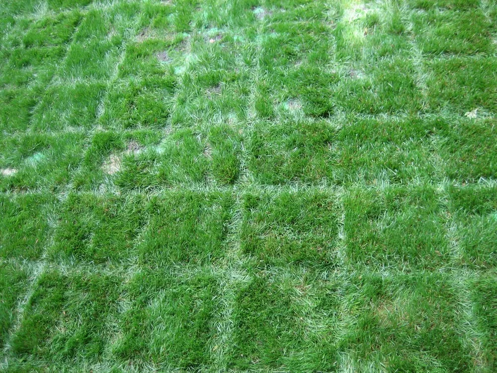 Custom yard maintenance in Highlands, NC - Zoellner Landscaping