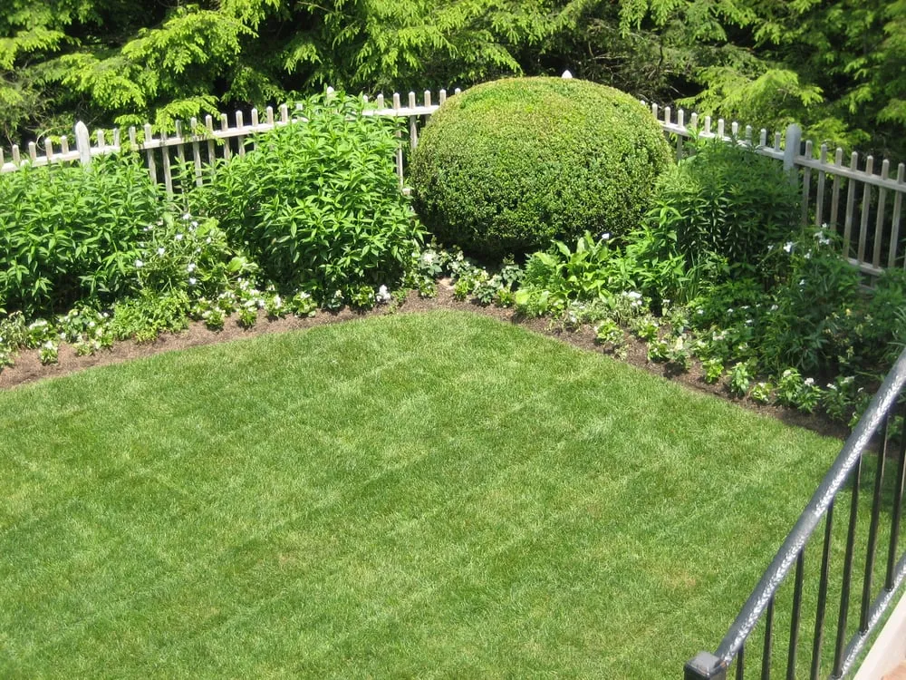 Professional yard cleanup service in Highlands, NC - Zoellner Landscaping