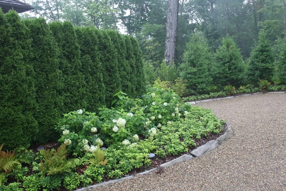Trusted yard cleanup service experts serving Highlands, NC - Zoellner Landscaping