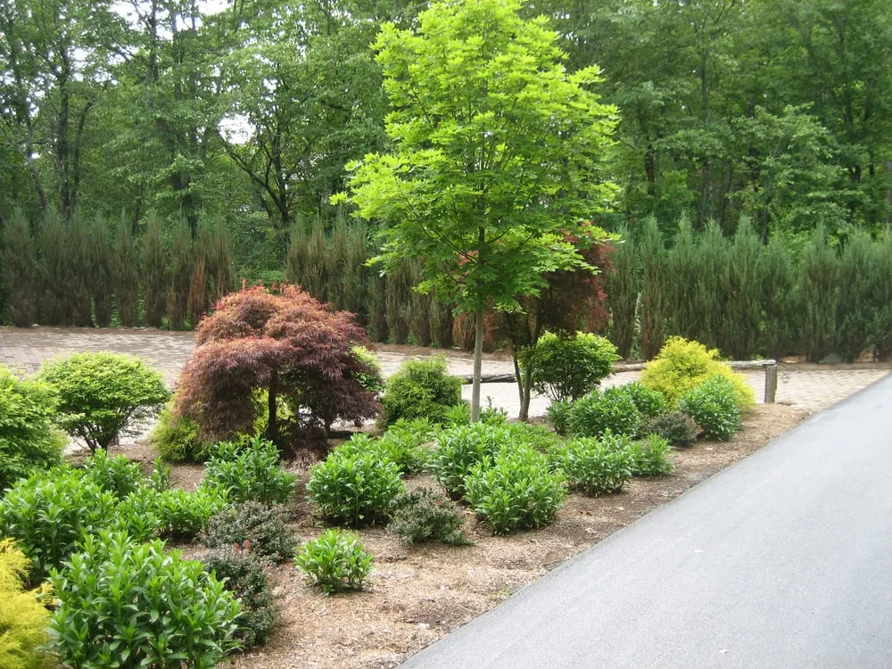 Reliable garden landscaping experts serving Highlands, NC - Zoellner Landscaping