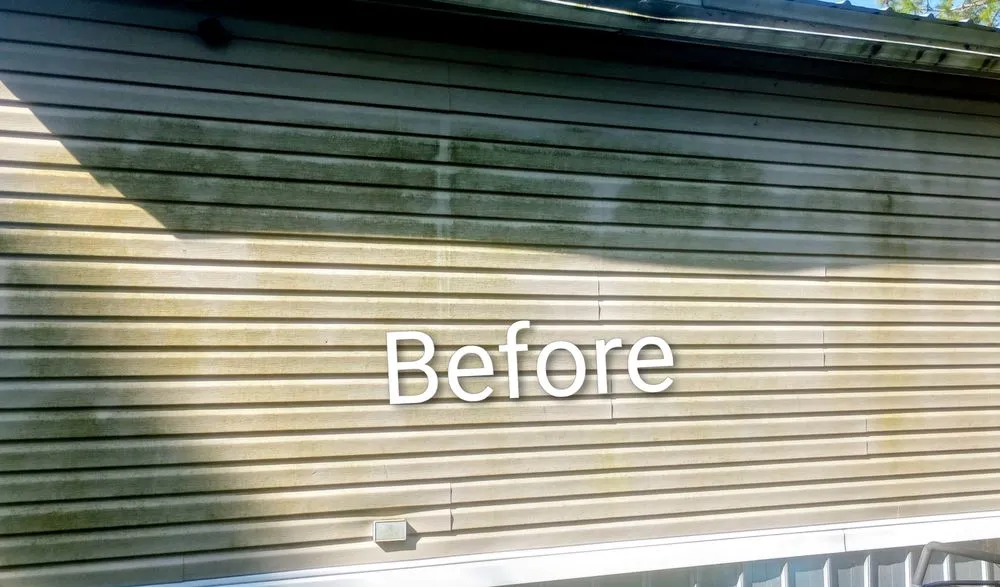 Expert landscape installation for outdoor upgrades across Adel, GA - Zoe's Small Home Repair Services