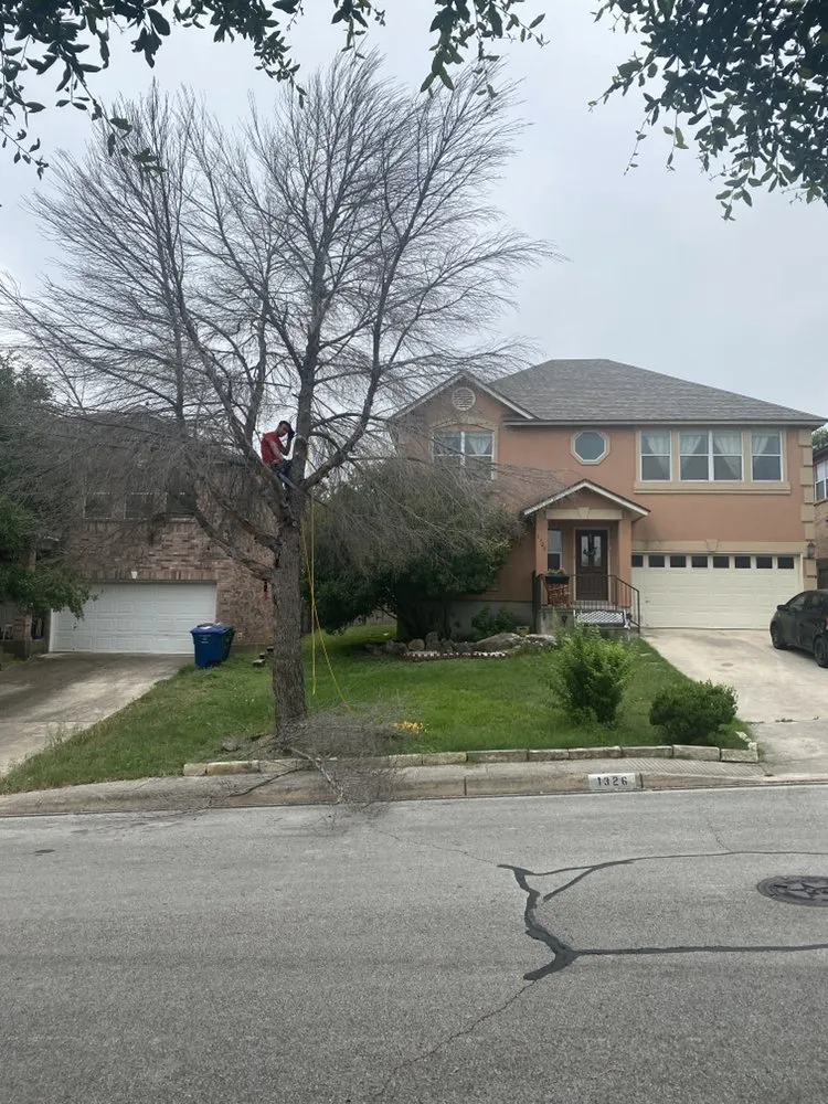 Local landscaping services experts serving San Antonio, TX - ZOM Lawn Care and Pressure Washing