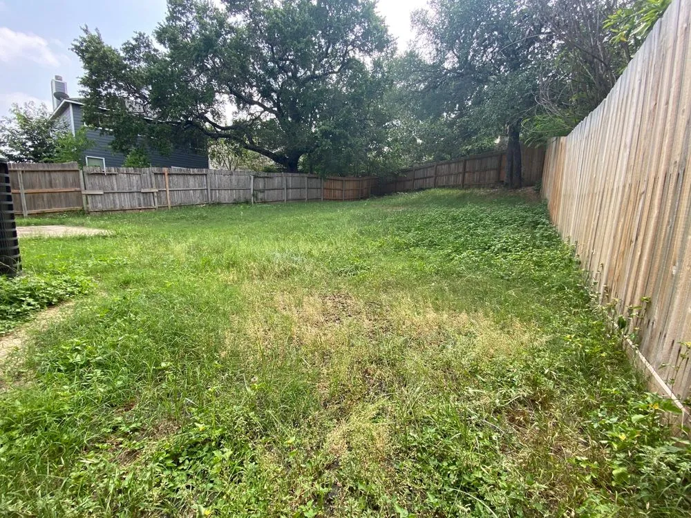 Expert landscape installation in San Antonio, TX by ZOM Lawn Care and Pressure Washing