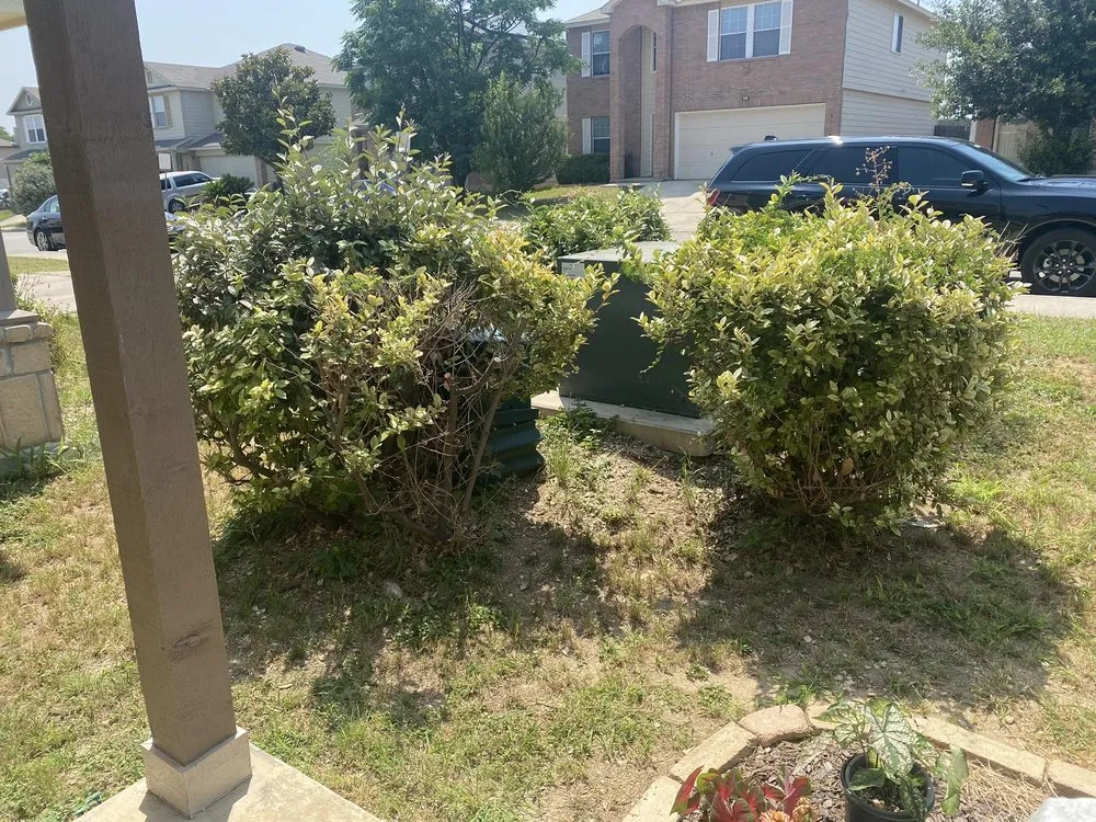 Professional landscape design in San Antonio, TX - ZOM Lawn Care and Pressure Washing