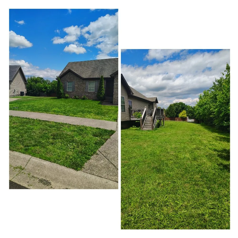 Reliable lawn care service with custom design in Louisville, KY by Zombie Lawning