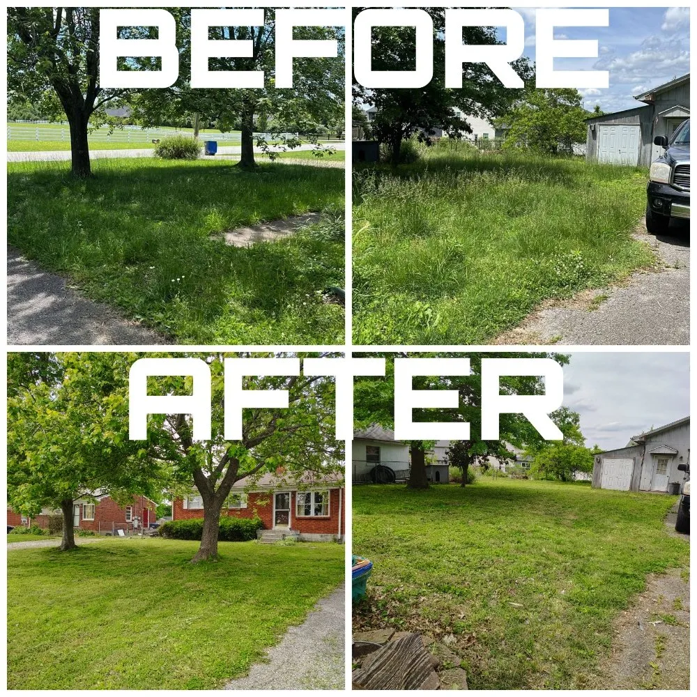 Trusted landscaping services in Louisville, KY by Zombie Lawning