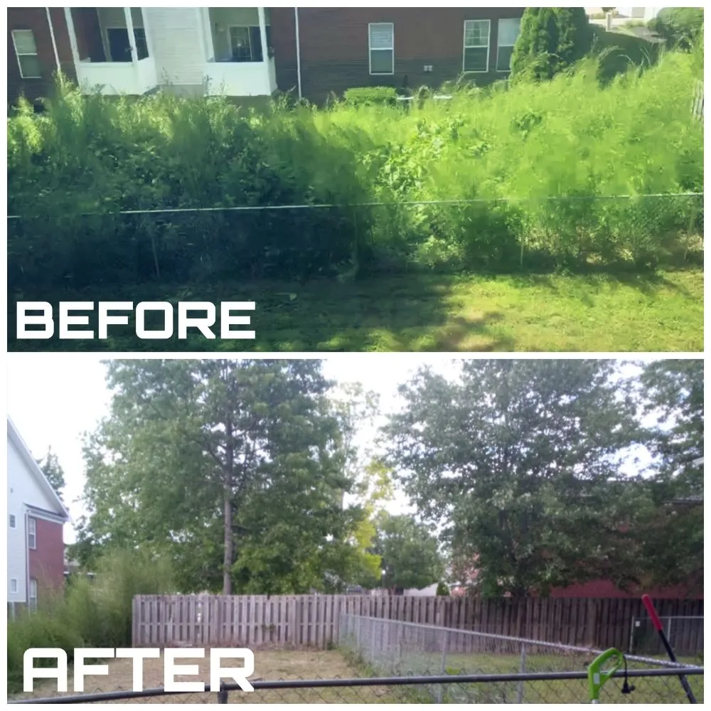 Trusted landscape installation for outdoor upgrades across Louisville, KY - Zombie Lawning